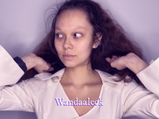 wandaaleck Super Webcam
