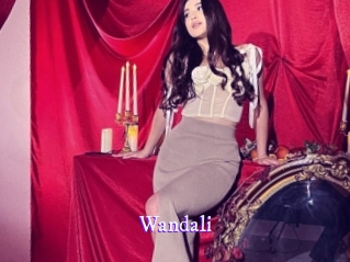wandali Super Webcam