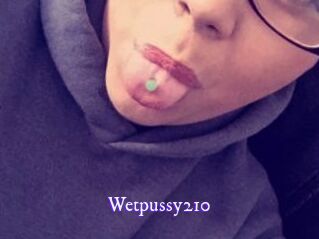 Wetpussy210