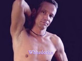whitedorian Super Webcam