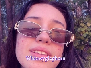 Whitneygleghorn