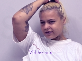 Wildaecton