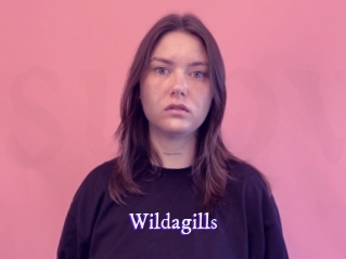 wildagills Super Webcam