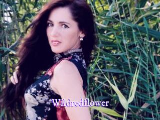 Wildredflower