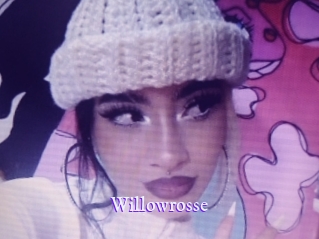 willowrosse Super Webcam