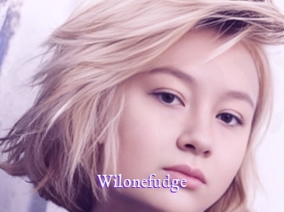 Wilonefudge