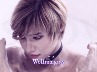 wolframgray Super Webcam