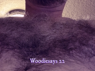 woodiesays_22 Super Webcam