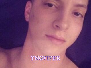 YNGVIPER