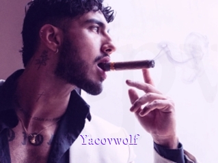 yacovwolf Super Webcam