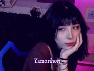 yamorihori Super Webcam