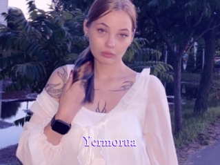 yermorua Super Webcam