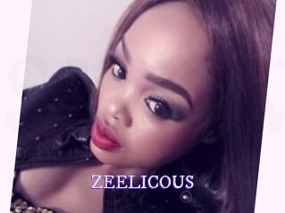 ZEELICOUS Super Webcam
