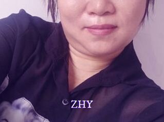 ZHY Super Webcam