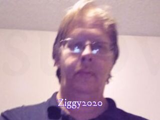 Ziggy2020 Super Webcam