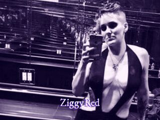 ZiggyRed