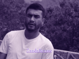 zaadalicante Super Webcam