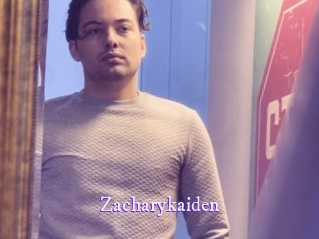 zacharykaiden Super Webcam