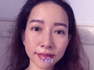 zally Super Webcam