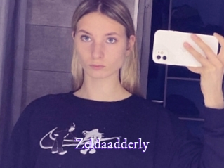 zeldaadderly Super Webcam