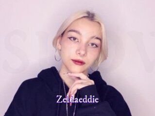 zeldaeddie Super Webcam