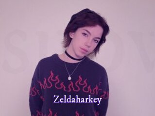 zeldaharkey Super Webcam