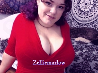 zelliemarlow Super Webcam