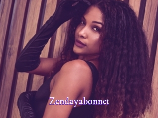 zendayabonnet Super Webcam
