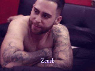 Zeusb
