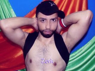 Zevit