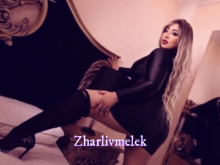 zharlivmelek Super Webcam
