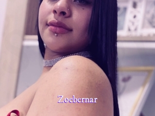 zoebernar Super Webcam