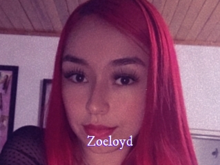 zoeloyd Super Webcam