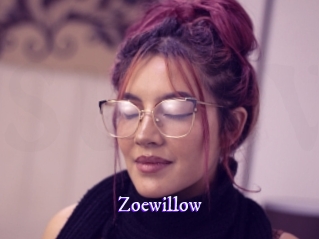 zoewillow Super Webcam